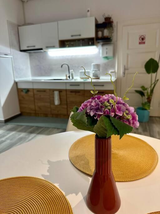 Zion Home Сибиу Экстерьер фото