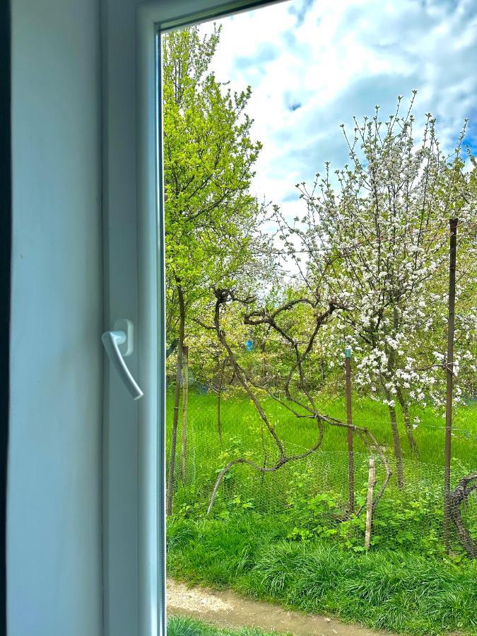 Zion Home Сибиу Экстерьер фото